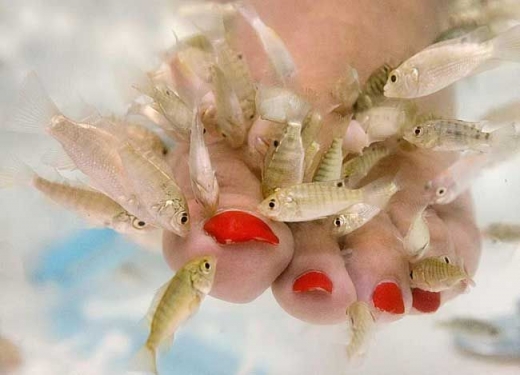 Pedicure By Fish