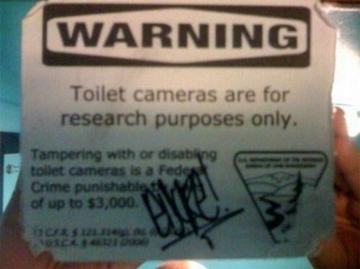 Toilet Paper Cameras