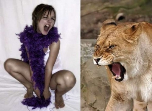 Celebrity Animal Look Alikes