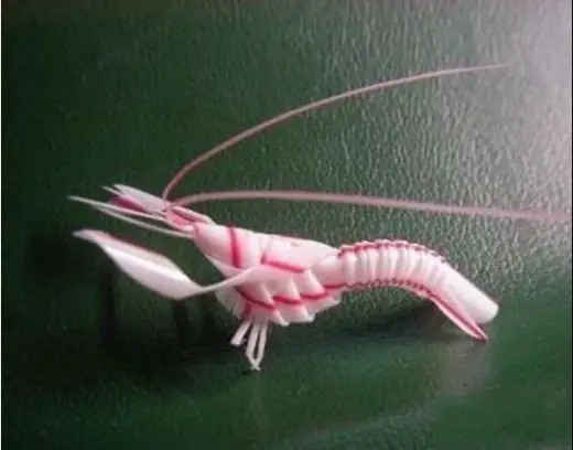 Amazing Shrimp Creation