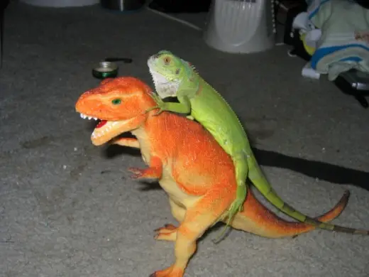 Lizard Humping Dinasour