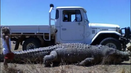 Gator-Truck