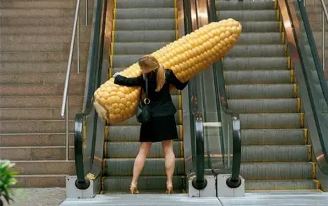 Funny Pictures-Corn