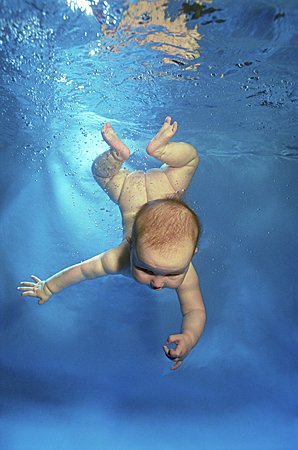 Baby Divers