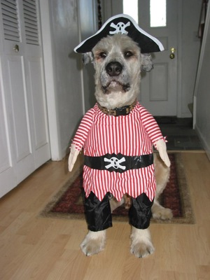 Dogs in Costume