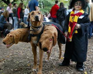 Dogs in Costume