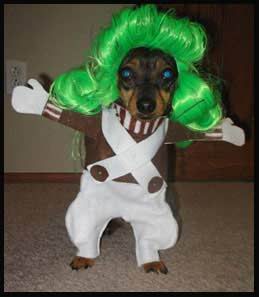 Dogs in Costume