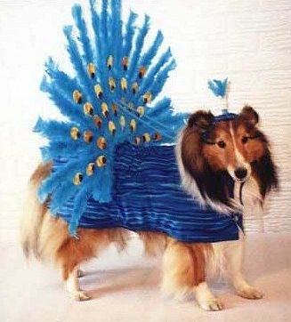 Dogs in Costume