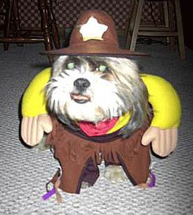 Dogs in Costume