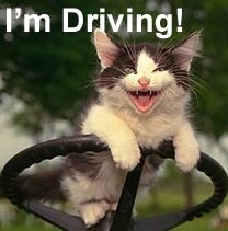 Driving Animals