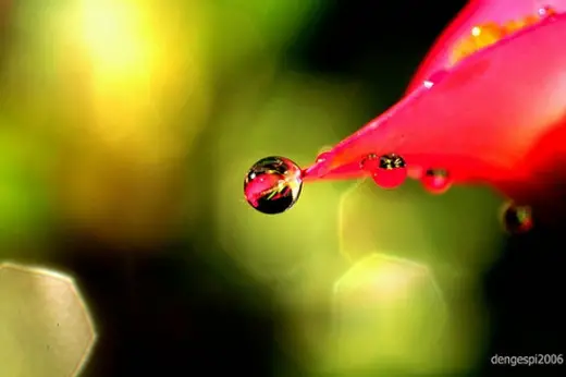 Tiny Water Drops