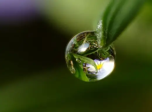 Tiny Water Drops