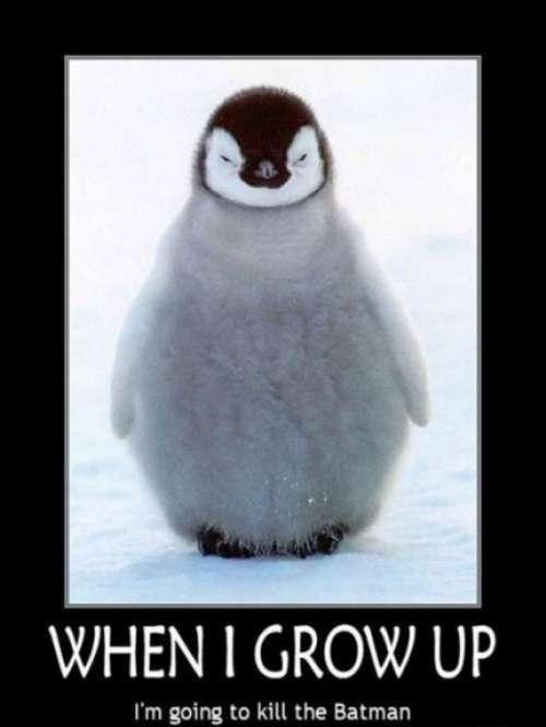 Cute Penguin Reincarnation