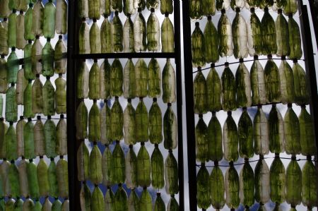 Eco-House Made of Plastic Bottles