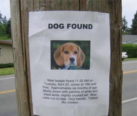 Funny Lost and Found Signs