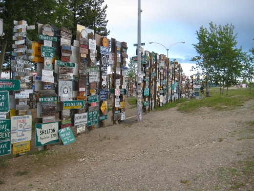 Sign Post Forest