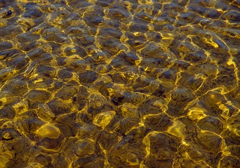 Pretty Water Patterns