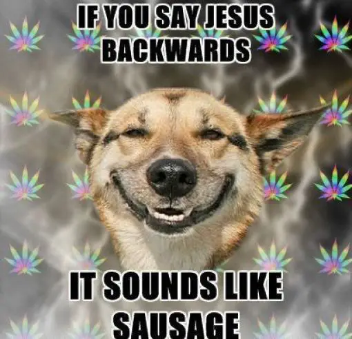 Sausage