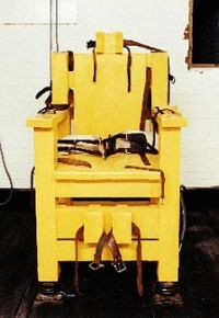 Do It Yourself Electric Chair