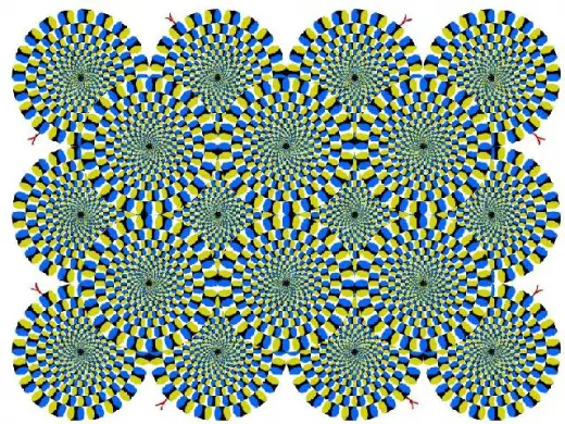 Amazing Illusion