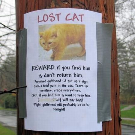 Funny Lost and Found Signs