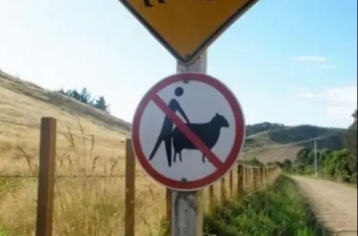 Warning! No Animal Sex Allowed