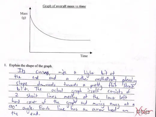 Clever Exam Answer