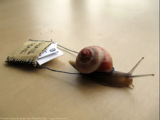 Snail Mail