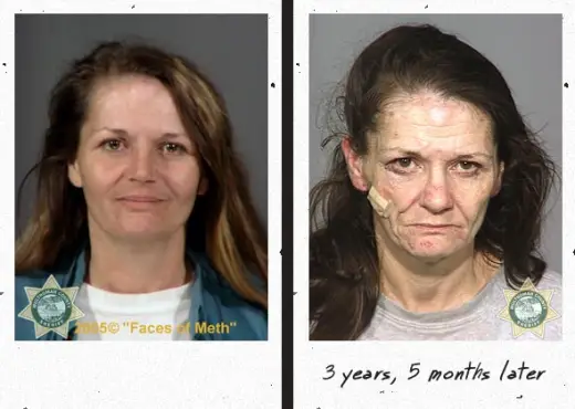 Faces Of Meth