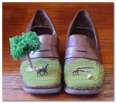 Strangest Shoes-Funny Pictures