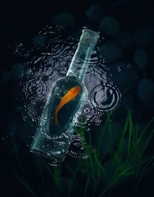 Message in a Bottle