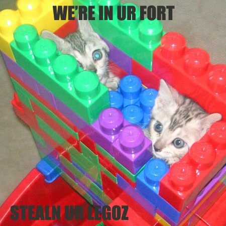 Funny Forum Cats