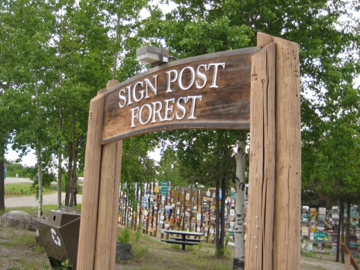 Sign Post Forest