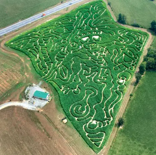 Corn Field Mazes And Art