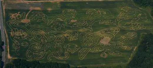 Corn Field Mazes And Art