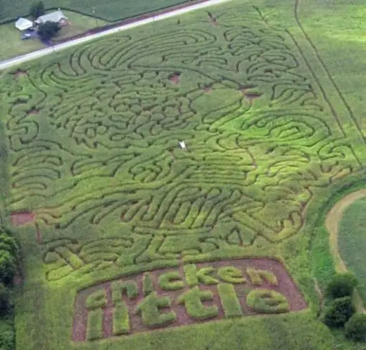 Corn Field Mazes And Art