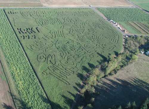 Corn Field Mazes And Art