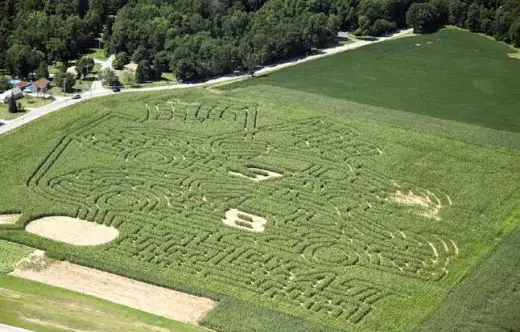 Corn Field Mazes And Art