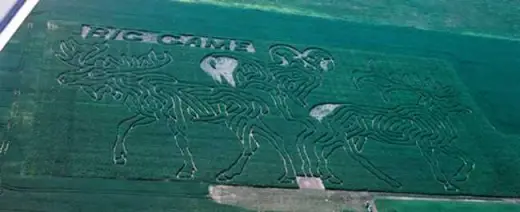 Corn Field Mazes And Art