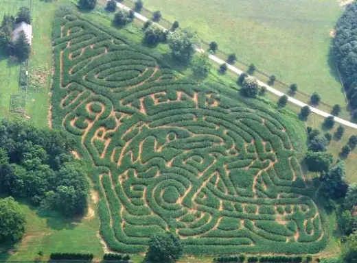 Corn Field Mazes And Art