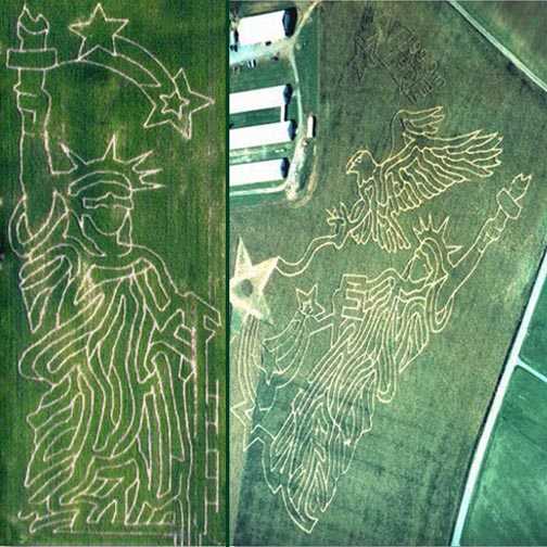 Corn Field Mazes And Art