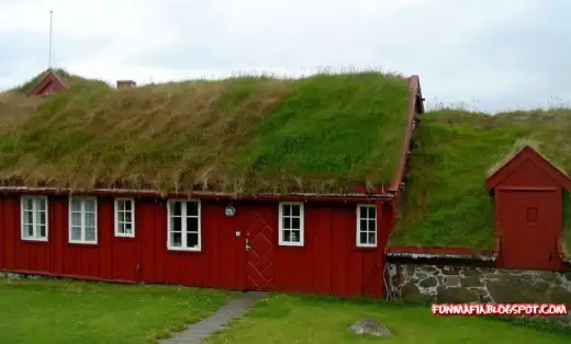 Roof Gardens