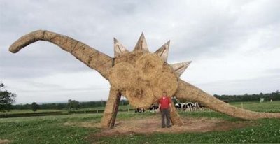 CREATIVITY WITH HAY & STRAW 