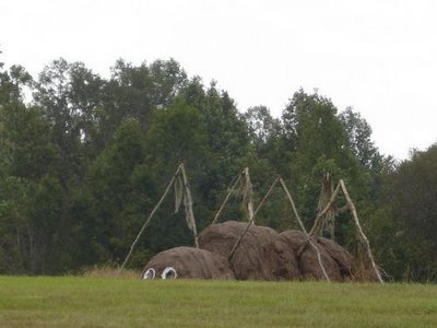 CREATIVITY WITH HAY & STRAW 