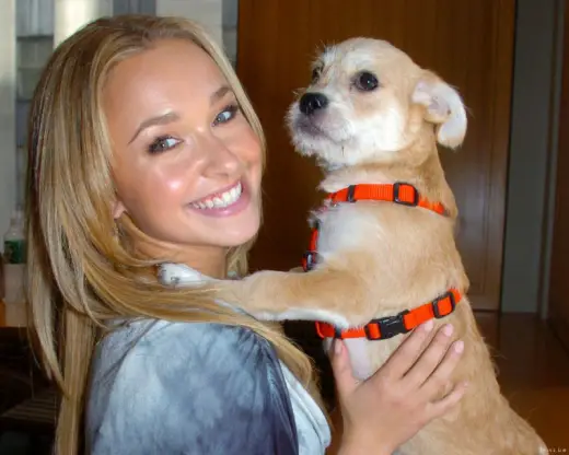 Hayden Panettiere Pics