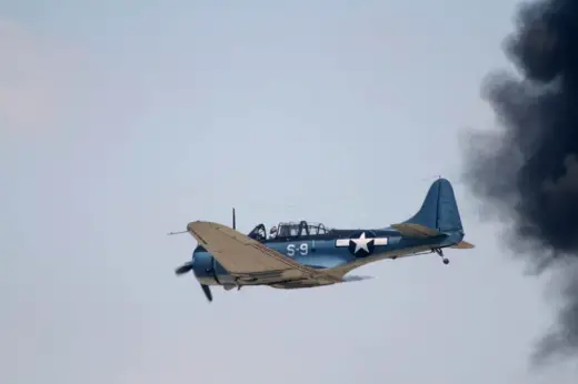 Houston Air Parade