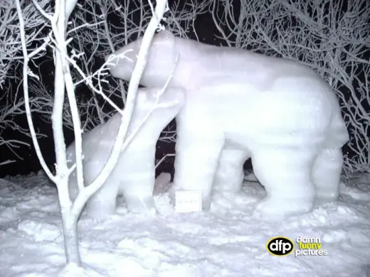 Ice Sculptures From The Olympics