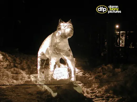 Beautiful Ice Sculptures