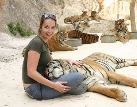 The Tiger Temple