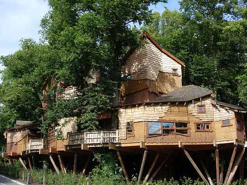 Largest Treehouse